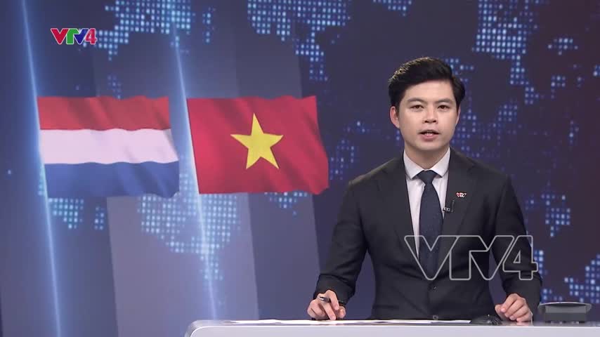 Việt Nam - Hà Lan, Thành tựu và triển vọng