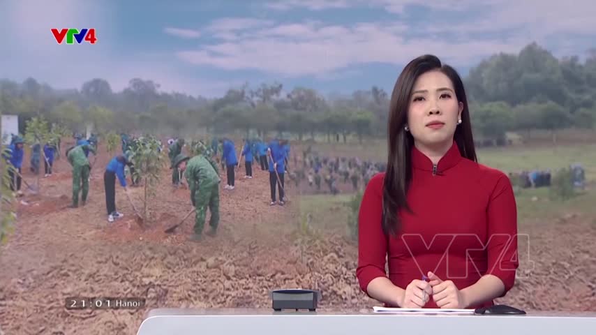 Phát động Tết trồng cây 