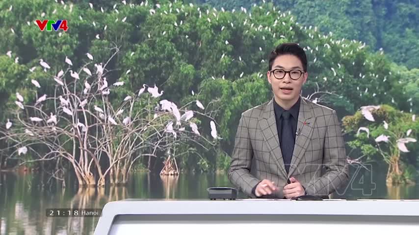 Bảo tồn và sử dụng bền vững các vùng đất ngập nước